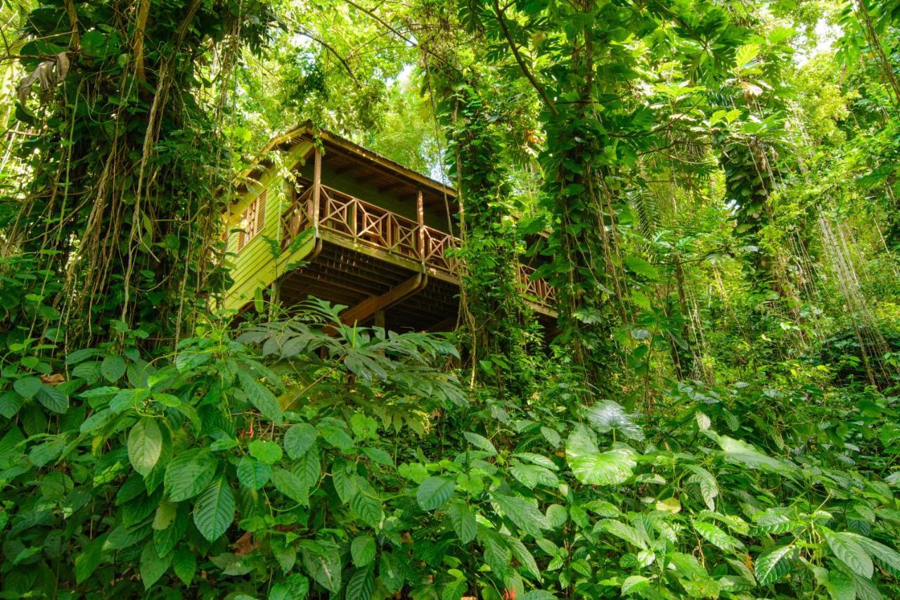 Kanopi House Hotel Port Antonio