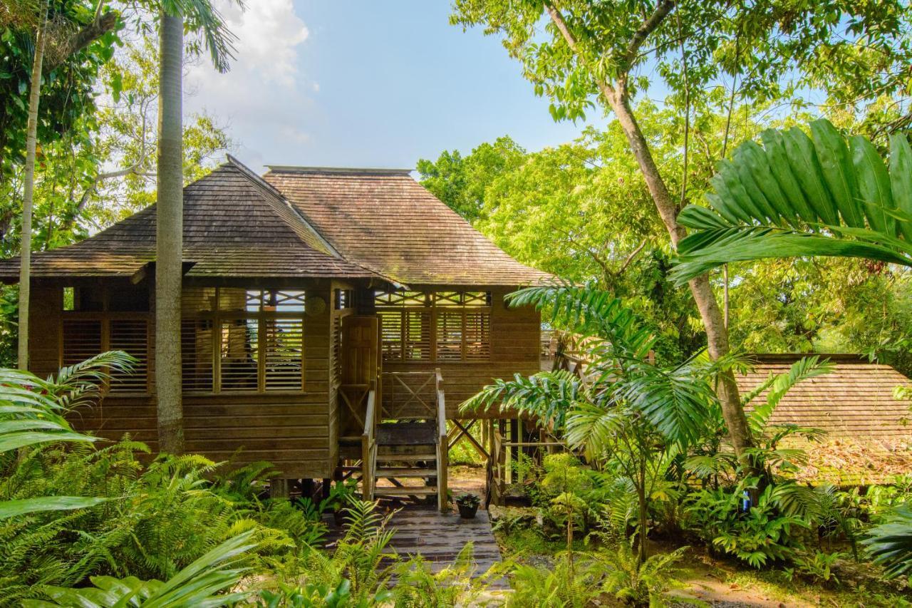 Kanopi House