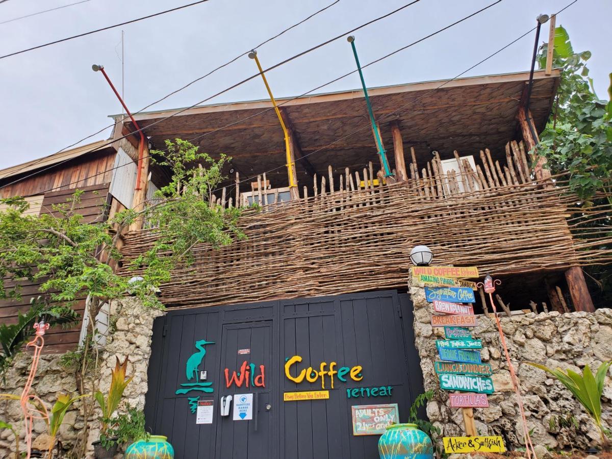 Wild Coffee Retreat 5*