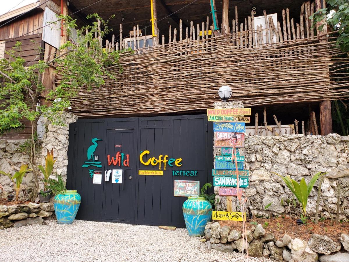 Wild Coffee Retreat 5*
