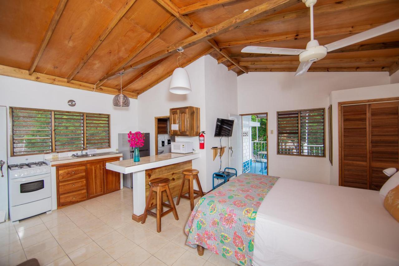 Villa Butterfly Hill Villa & Studio Apartment Treasure Beach