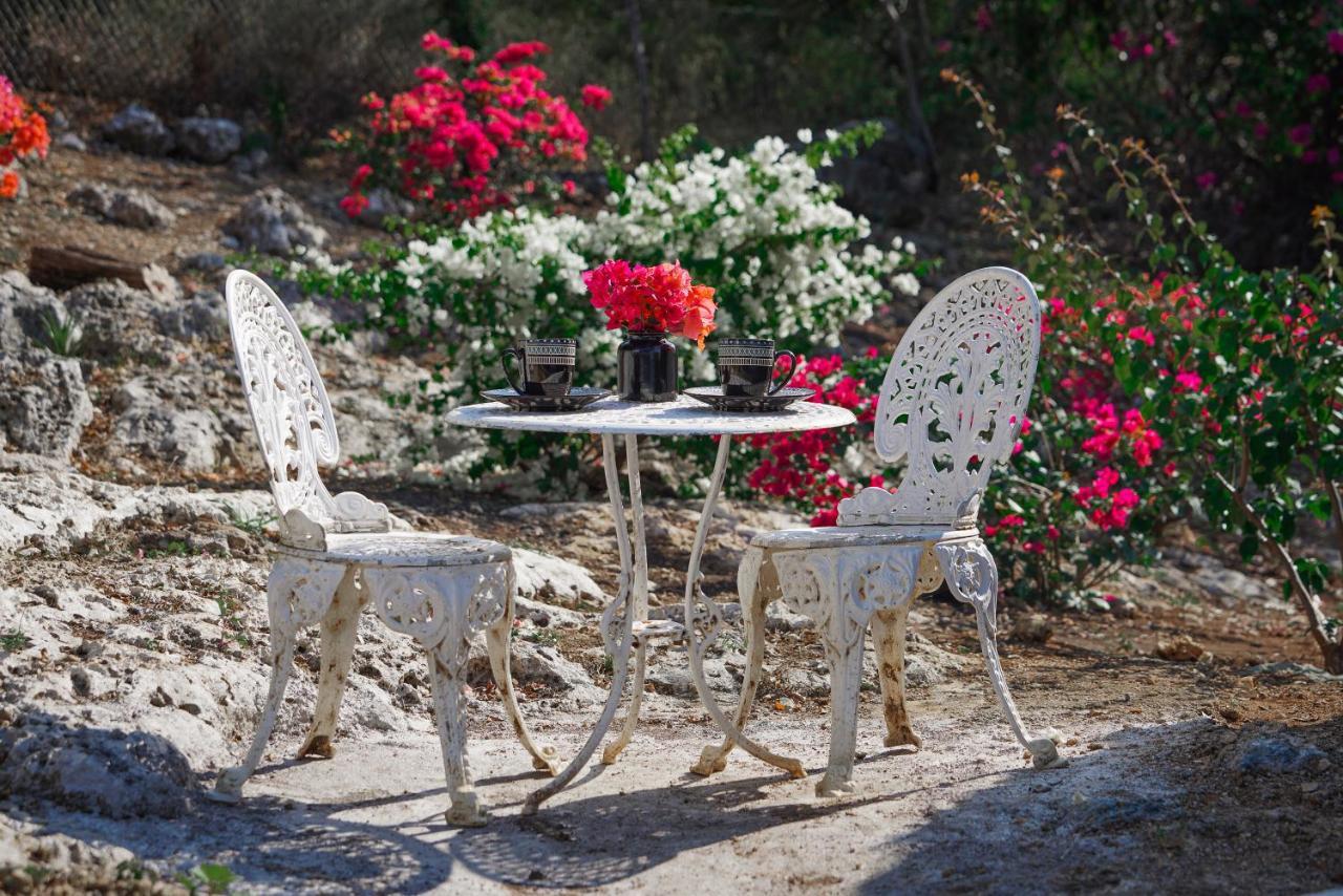 Villa Butterfly Hill Villa & Studio Apartment