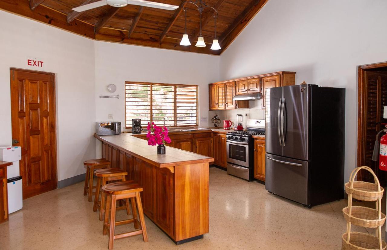 Butterfly Hill Villa & Studio Apartment Villa Treasure Beach