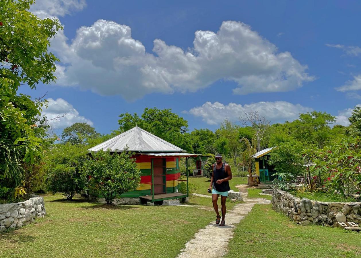 Judy House 2 - Lewis Backpacker *