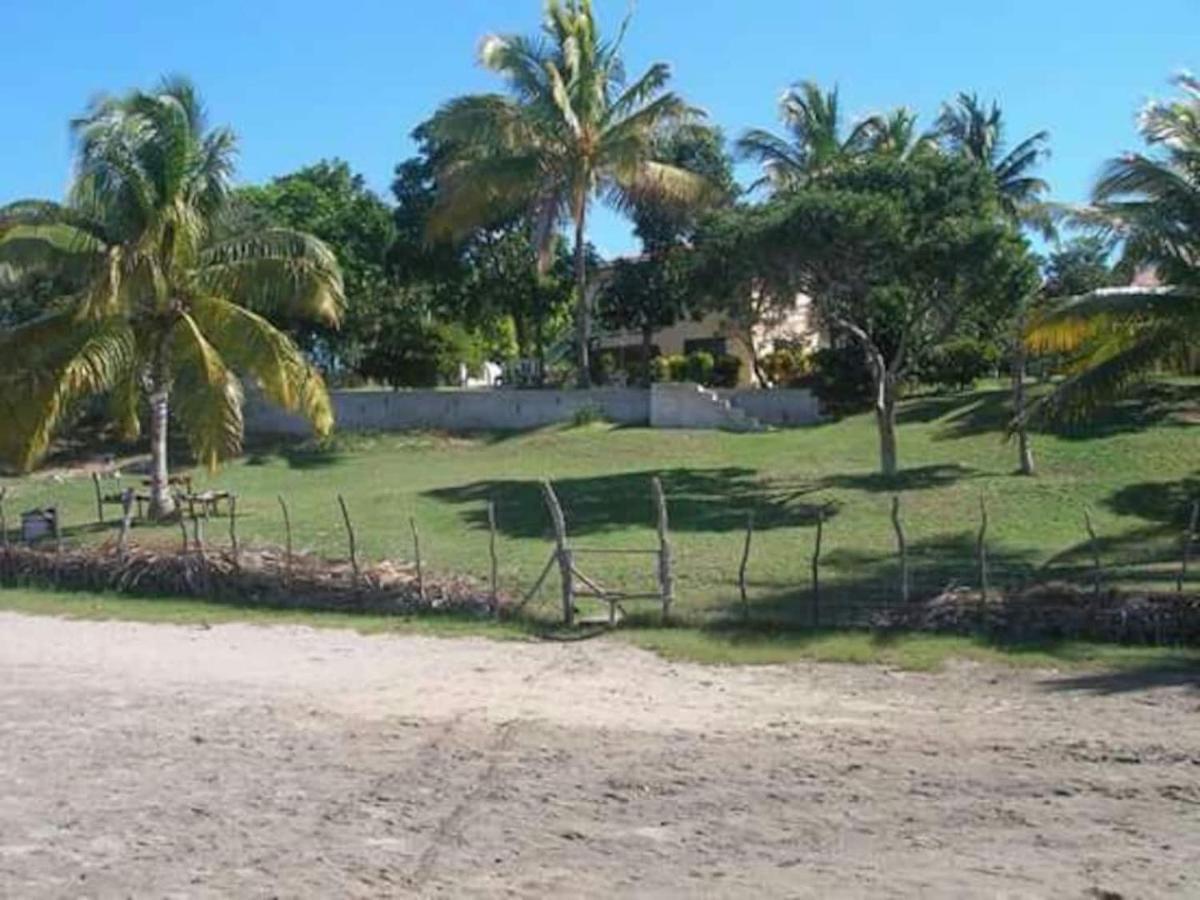 Rock Side On The Villa Treasure Beach