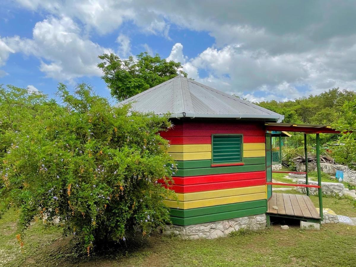 Judy House 2 - Lewis Backpacker *