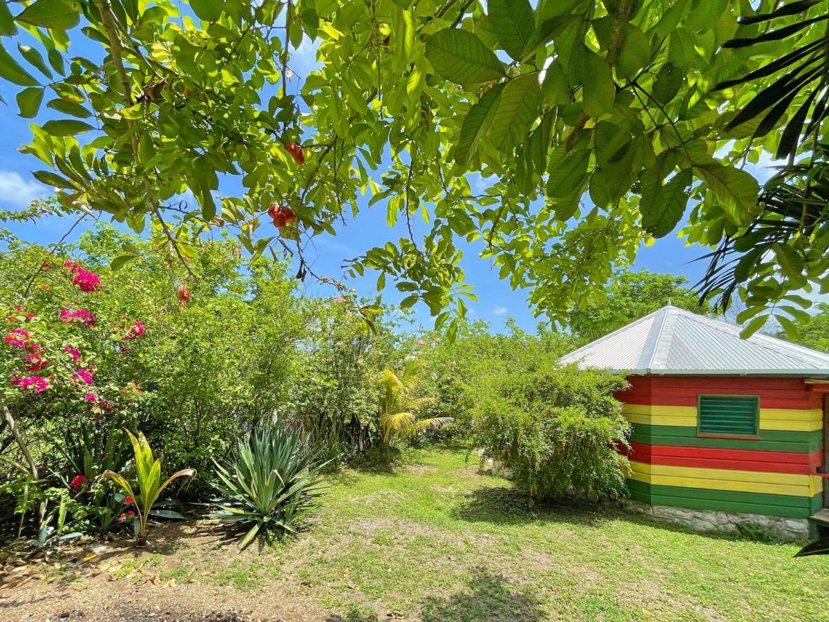 Judy House 2 - Lewis Backpacker Hostel *