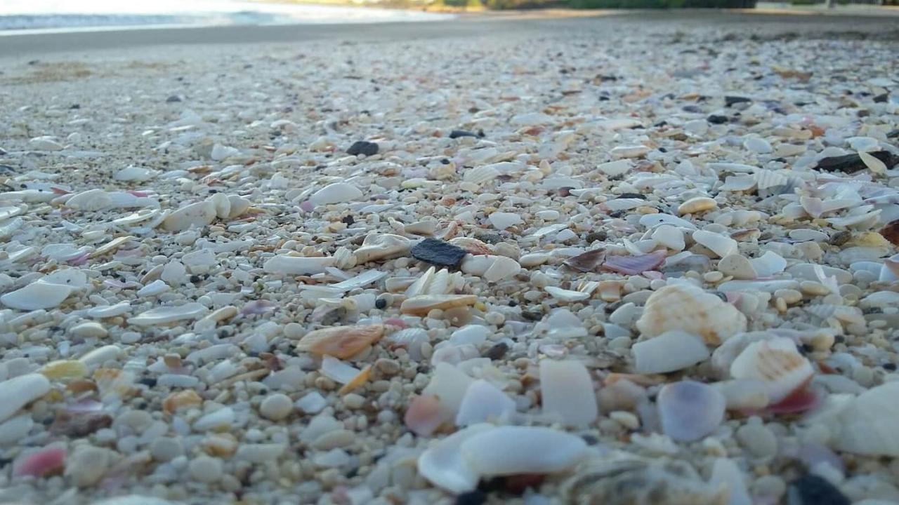 Rock Side On The Treasure Beach