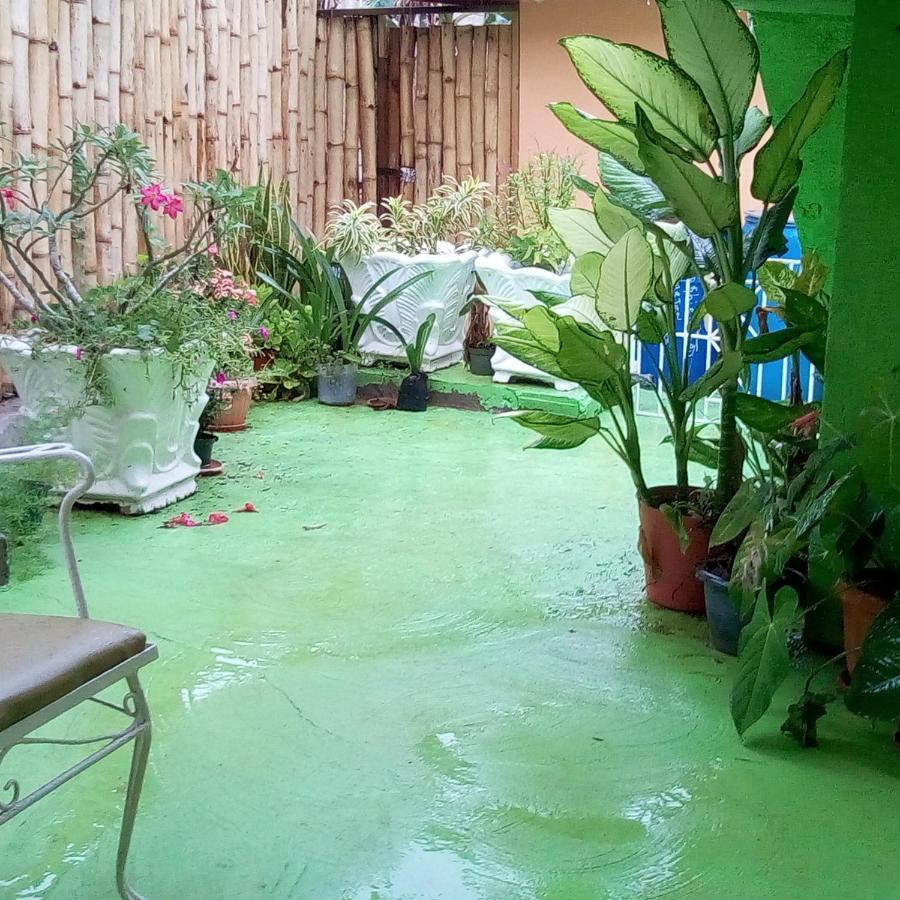 Guest house Caldo Tours