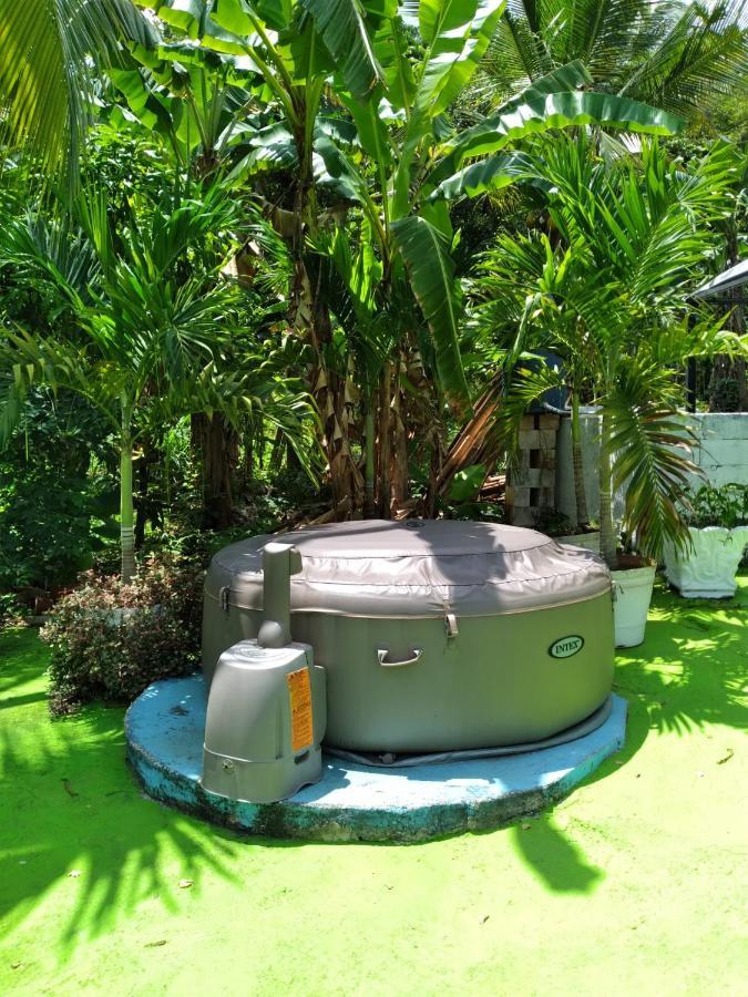 Caldo Tours Guest house Ewarton