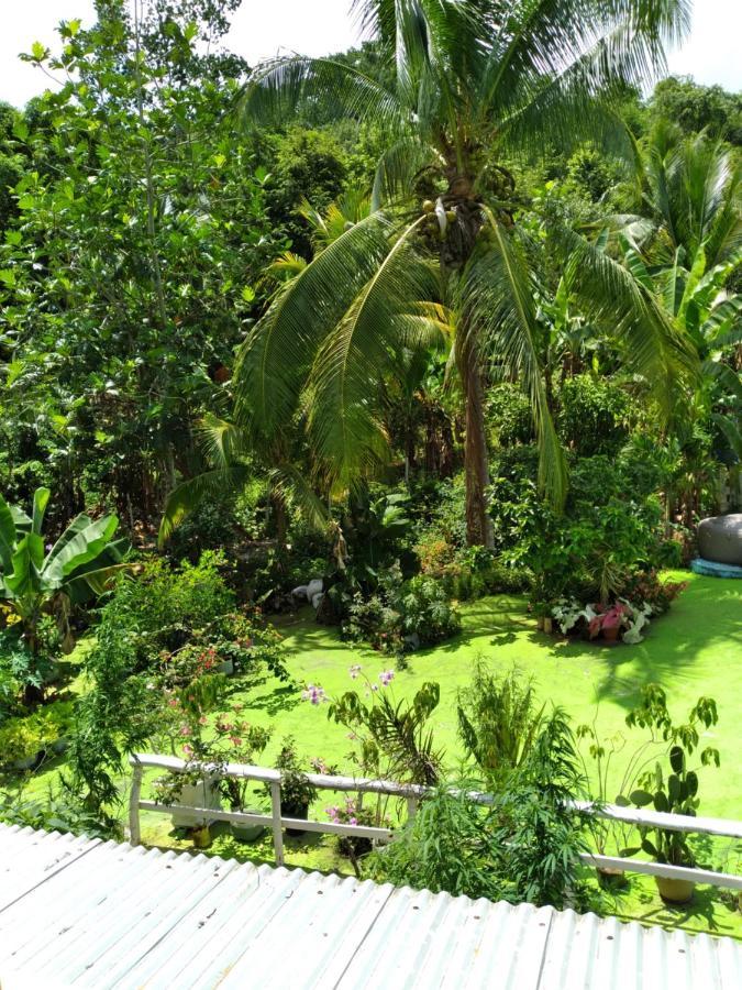 Guest house Caldo Tours Ewarton