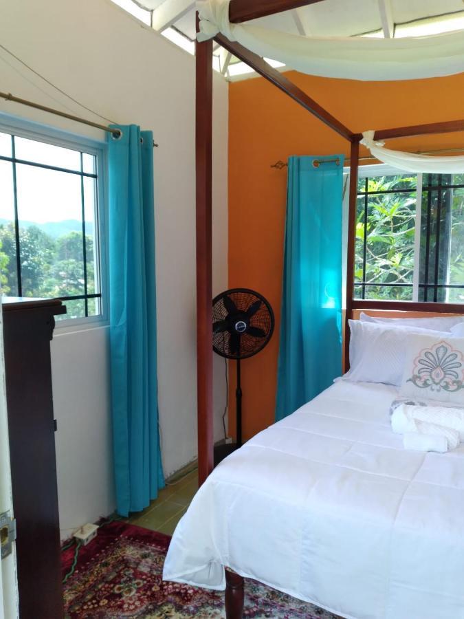 Caldo Tours Guest house Ewarton