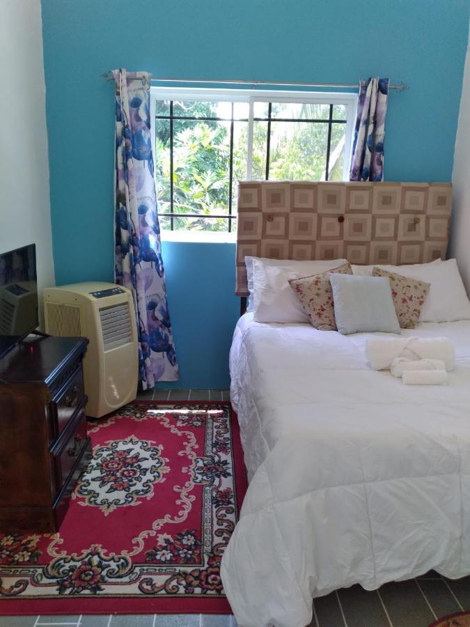 Guest house Caldo Tours Ewarton