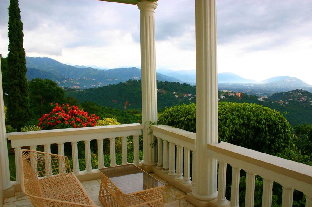 Bed & Breakfast City View Kingston