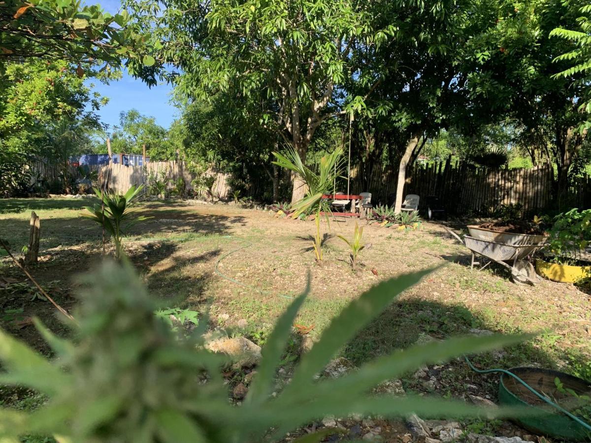 Bed & Breakfast Jam Retreat Negril