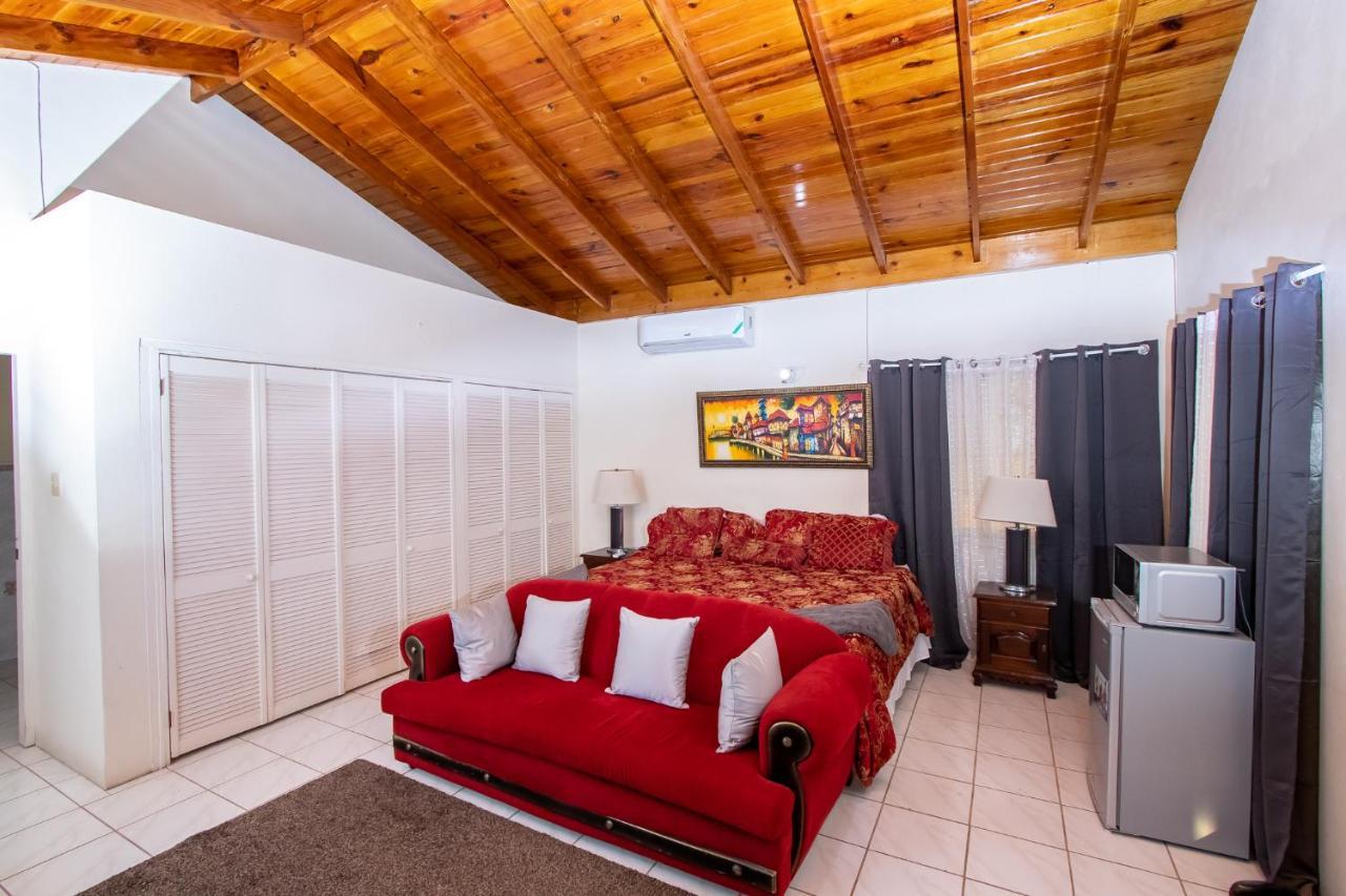 Privatunterkunft 876 Ja Oasis & - By Airport Kingston