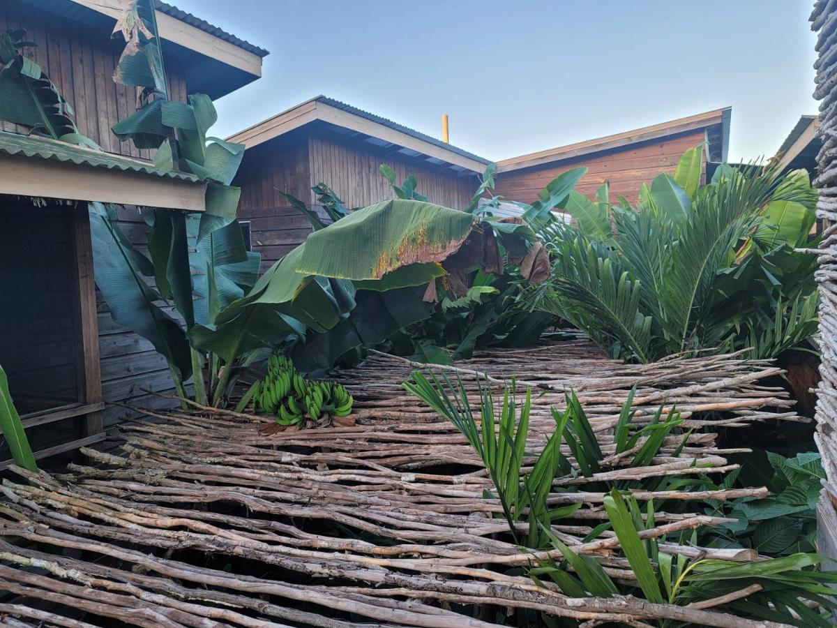 Wild Coffee Retreat Hotel