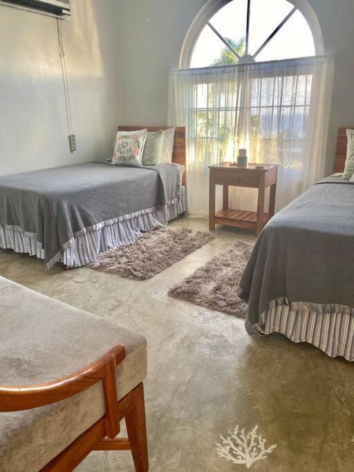 Coastal Beauty - Beautiful Penthouse In Apartamento