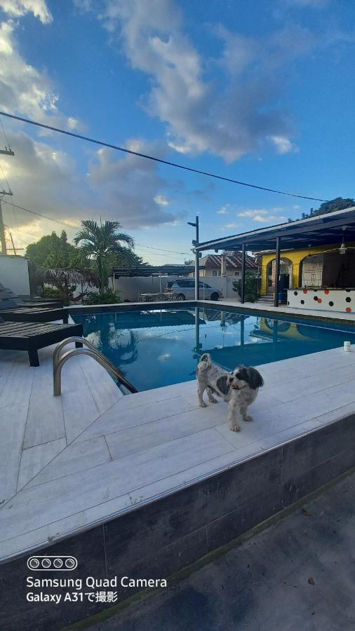 Guest house Labrish Kingston