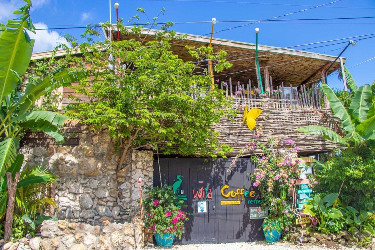 Hotel Wild Coffee Retreat Negril