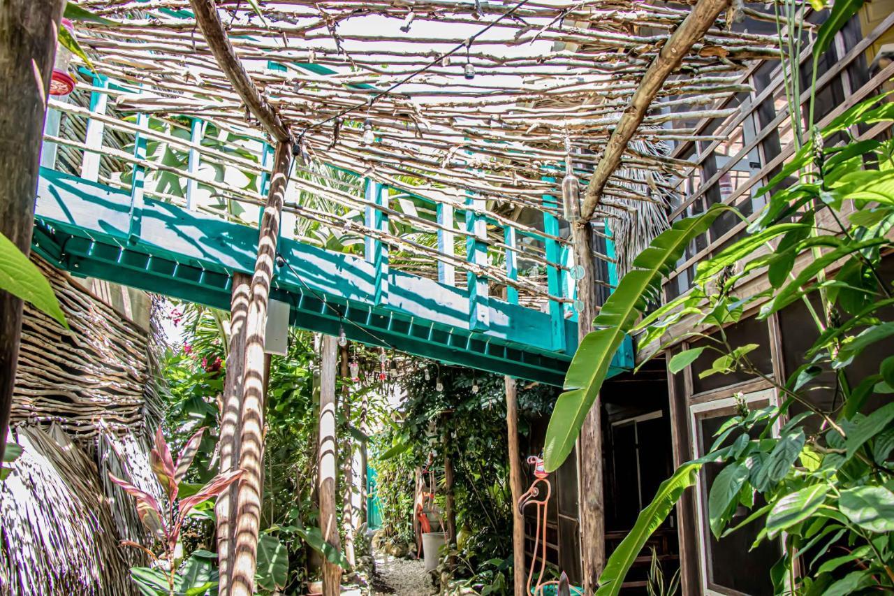 Wild Coffee Retreat 5*