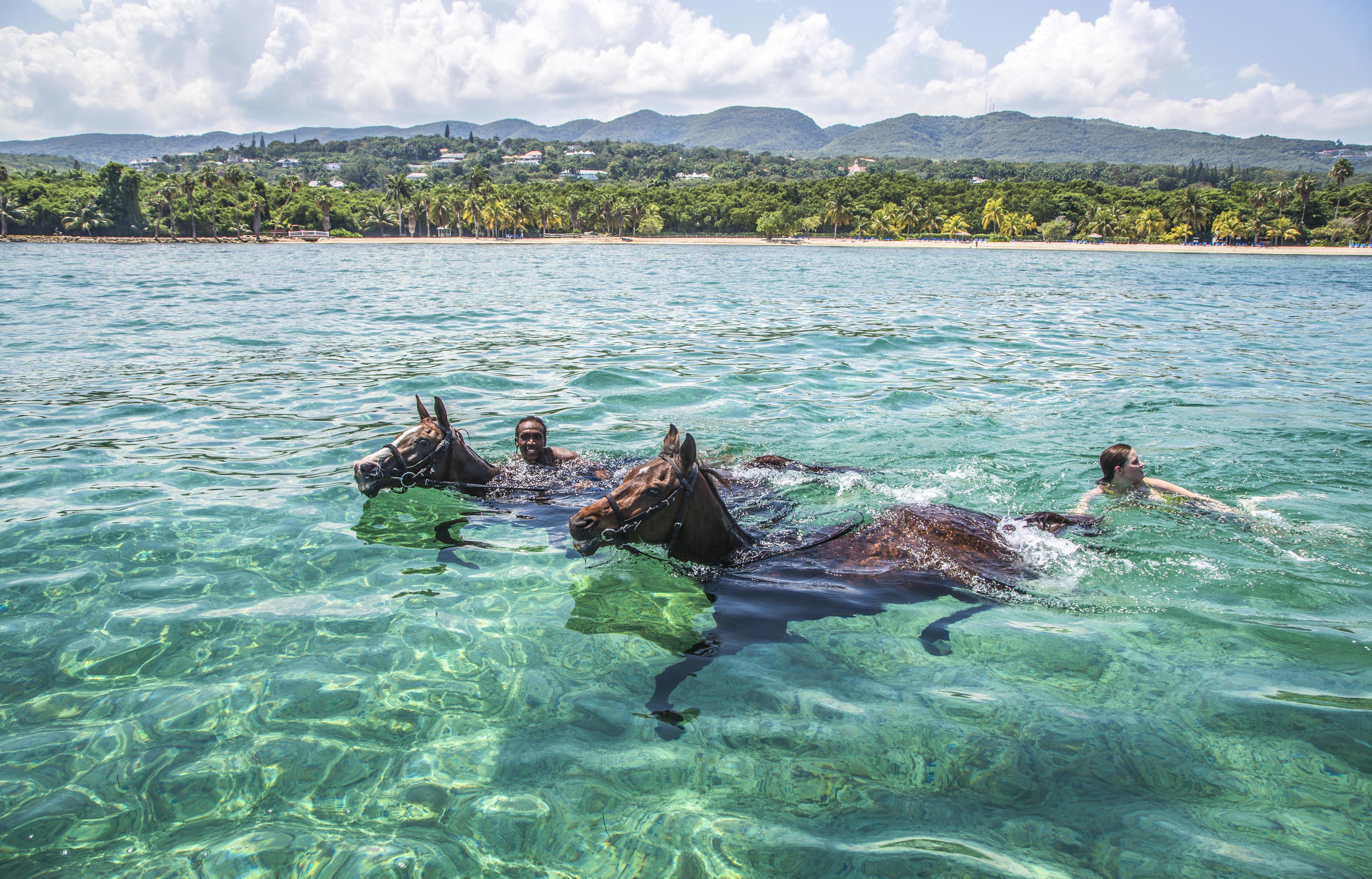 Resort Half Moon Montego Bay