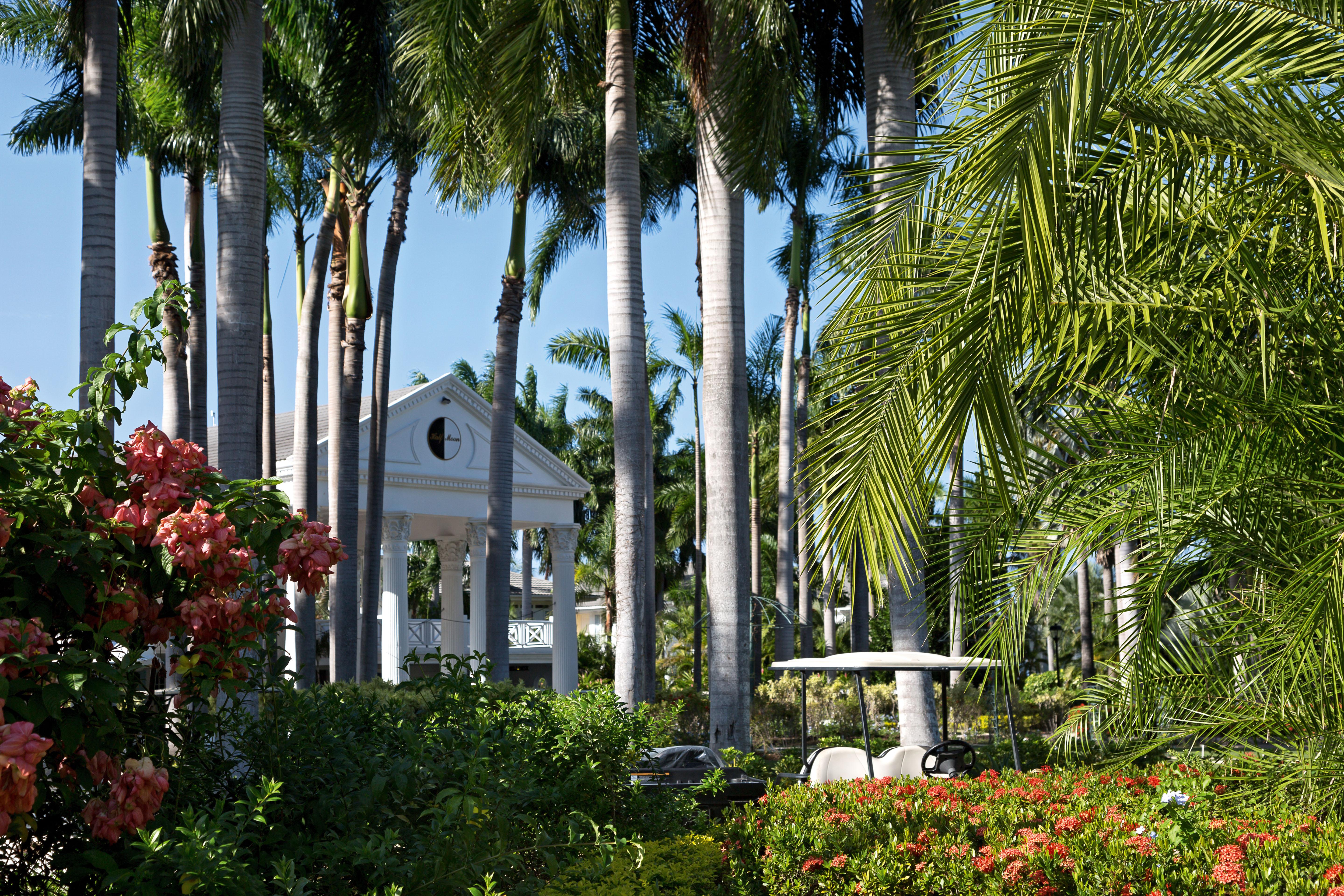 Half Moon 5* Montego Bay