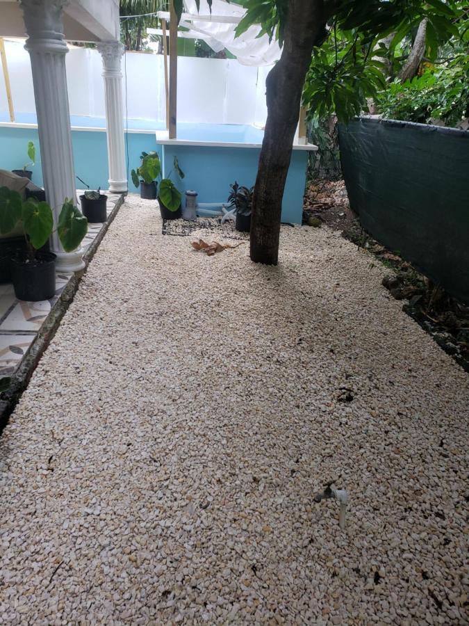 Grace Garden