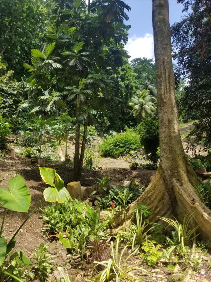Lodge Ecoscape Jamaica - Lavish 1-br By The River