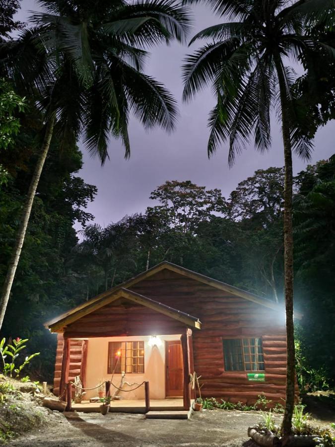 Ecoscape Jamaica - Lavish 1-br By The River Lodge Saint Ann's Bay