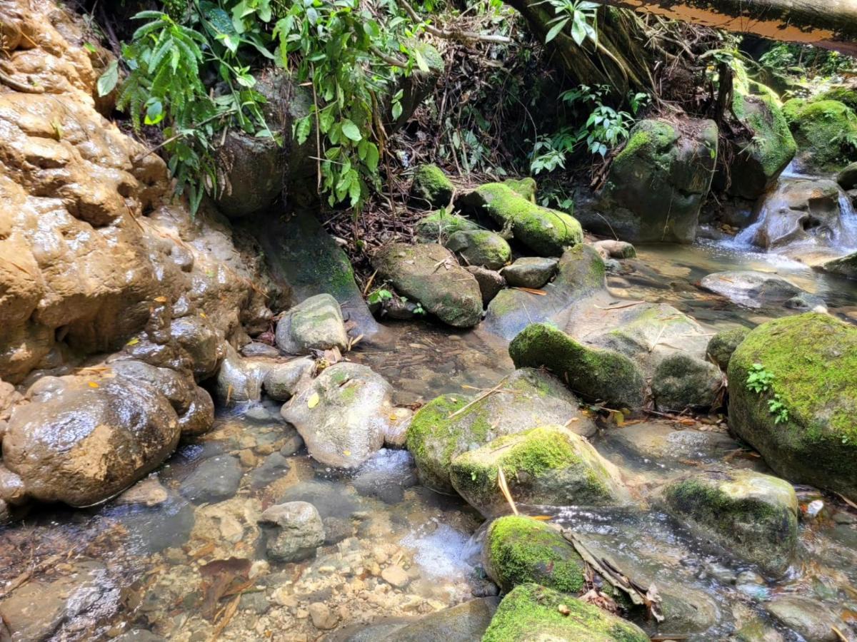 Lodge Ecoscape Jamaica - Lavish 1-br By The River *