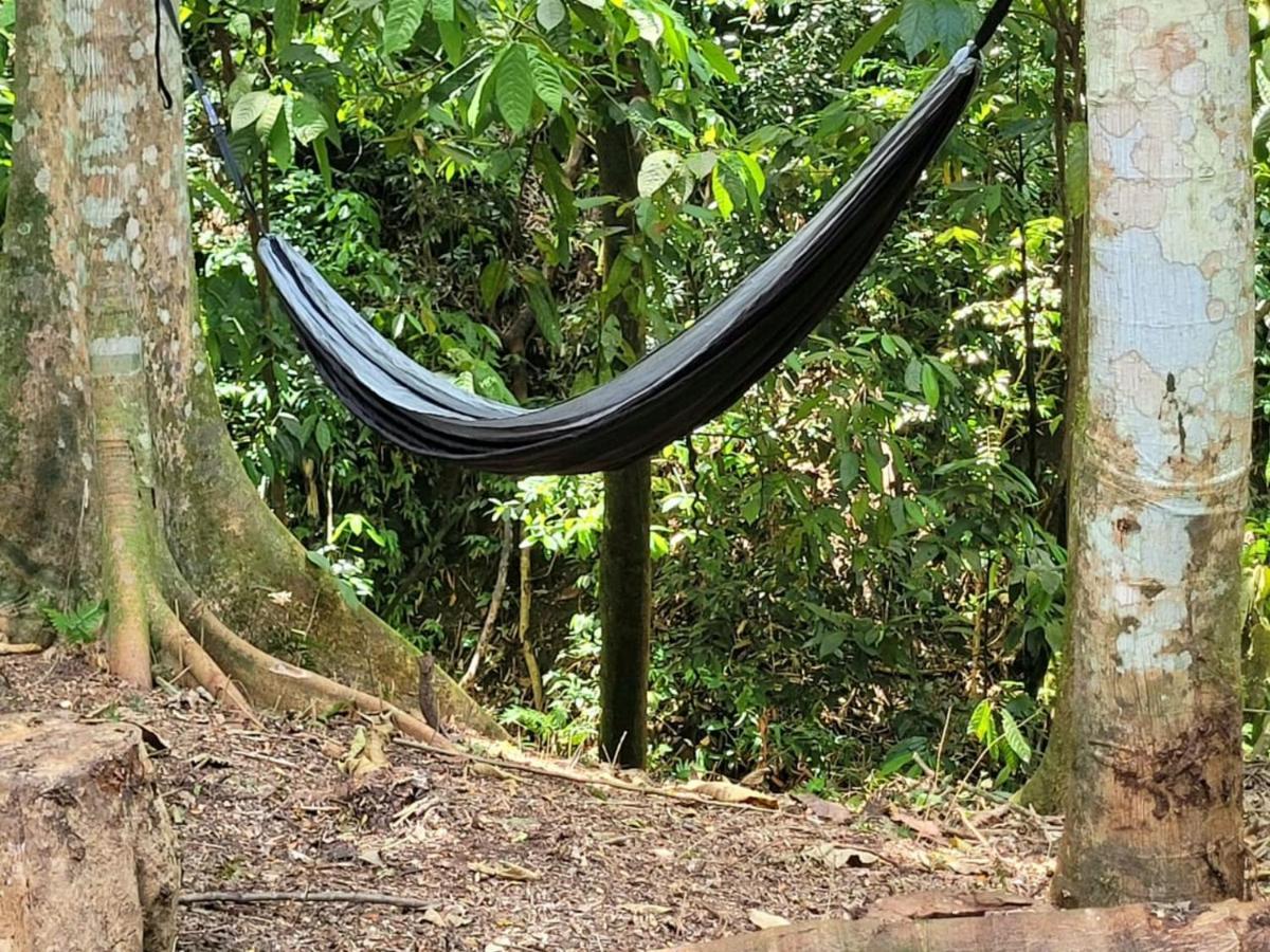 Ecoscape Jamaica - Lavish 1-br By The River * Saint Ann's Bay