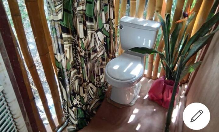 Apartment Treehouse Above The Port Antonio