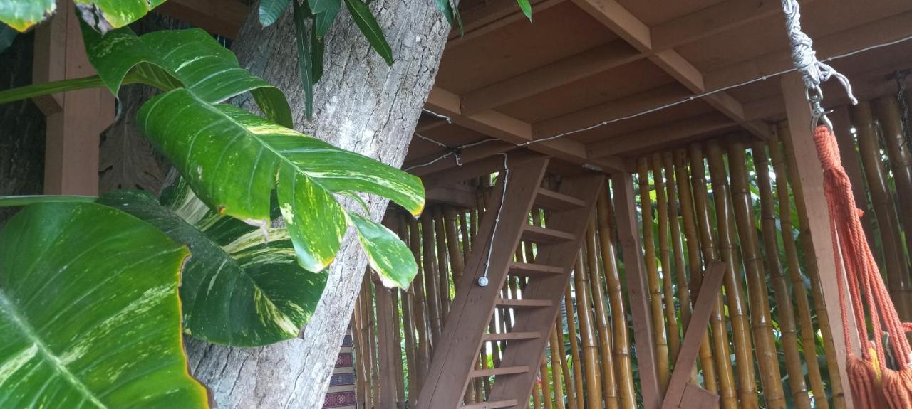 Apartment Treehouse Above The Port Antonio