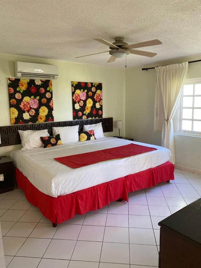 1 Bedroom Penthouse 63 At Mystic Ridge Apartment