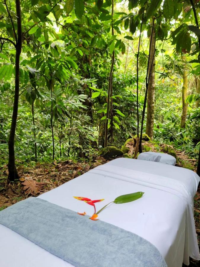 Lodge Ecoscape Jamaica - Lavish 1-br By The River