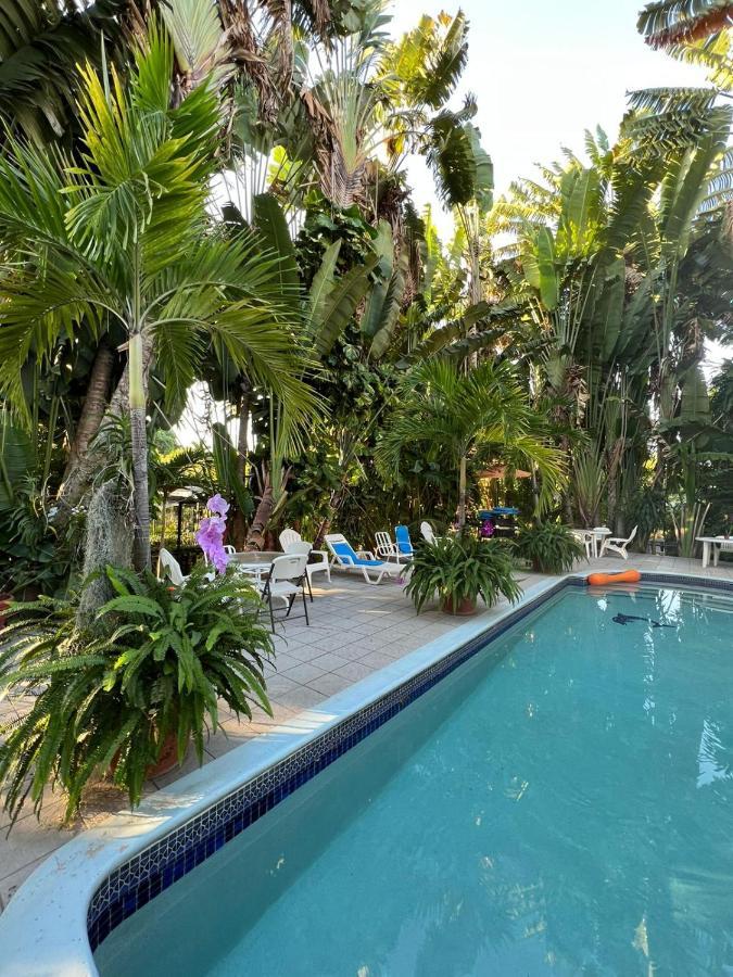 Orchid Guest house 2*