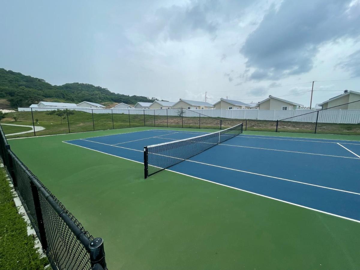 Starr & Adams Caribbean Oasis