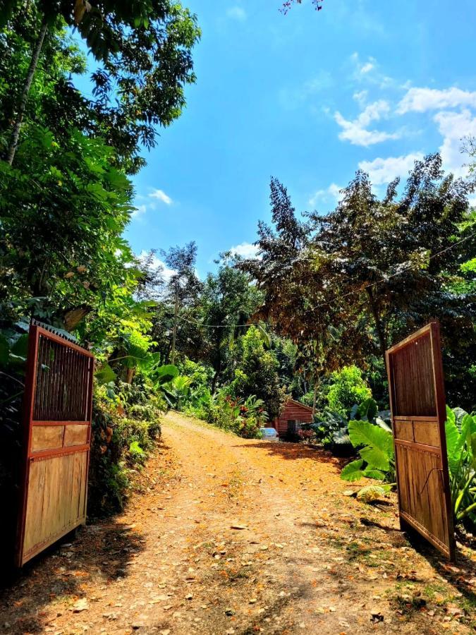 Ecoscape Jamaica - Lavish 1-br By The River