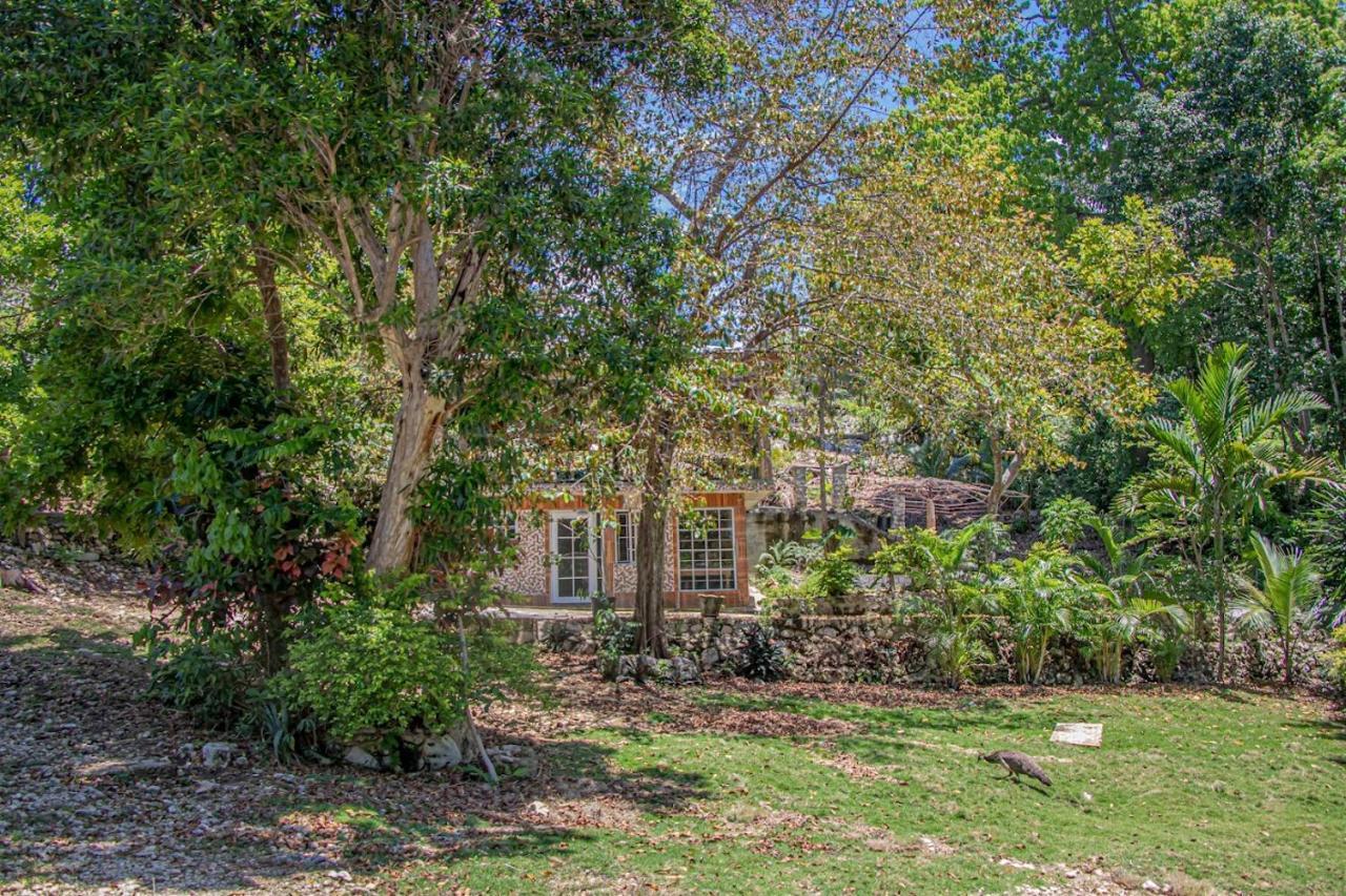 Kassion Corner Guest house