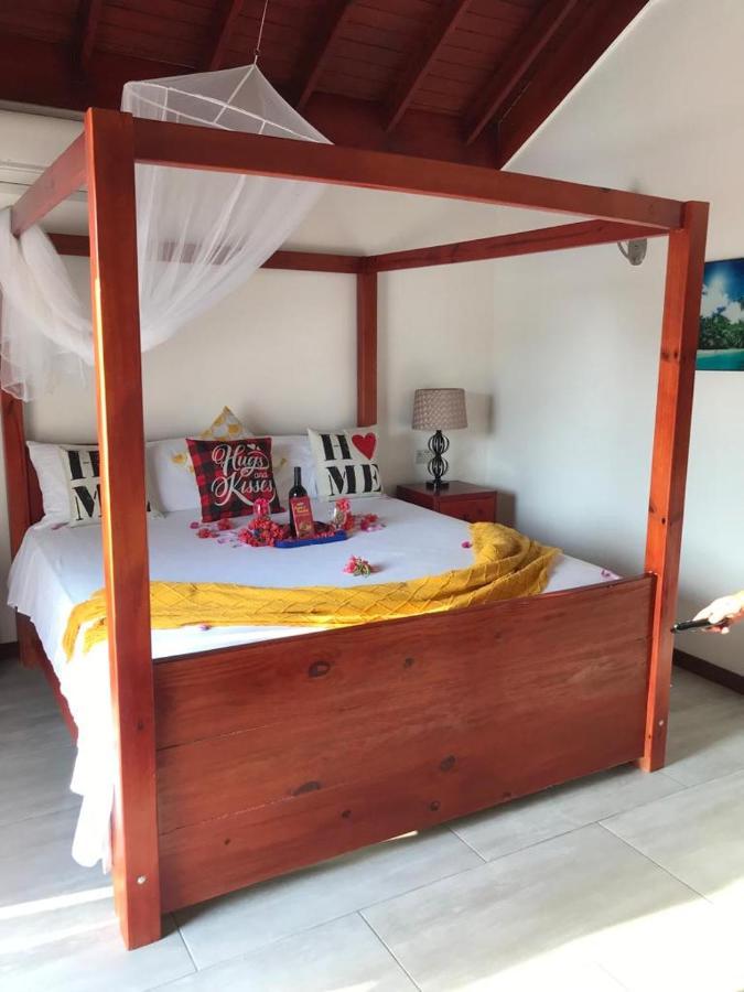 Cozy Oceanfront Hidden Treasure Guest house Treasure Beach