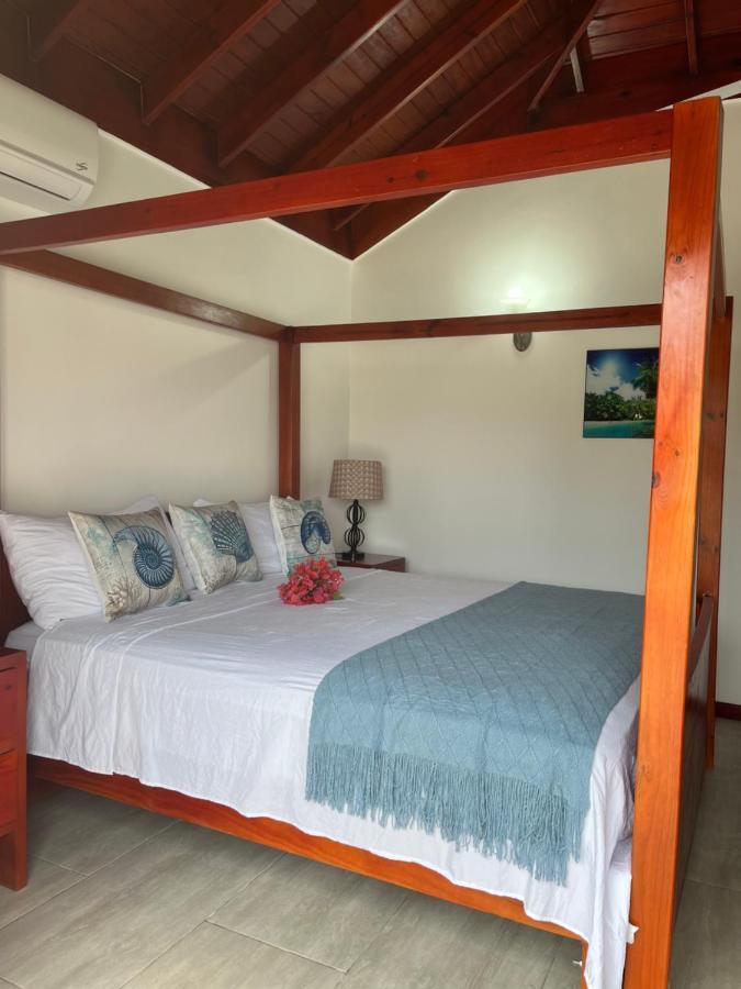 Cozy Oceanfront Hidden Treasure Treasure Beach