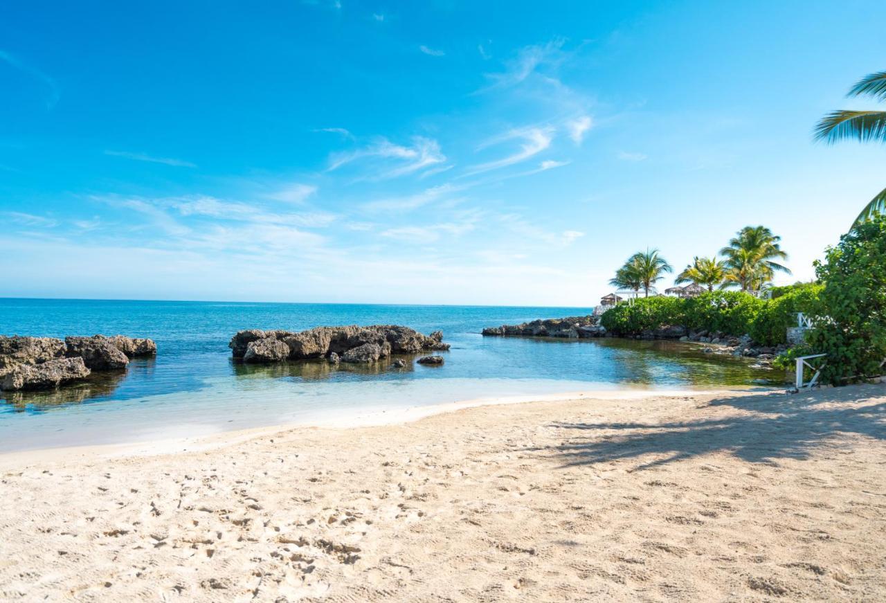 Grand Palladium Jamaica & 5*