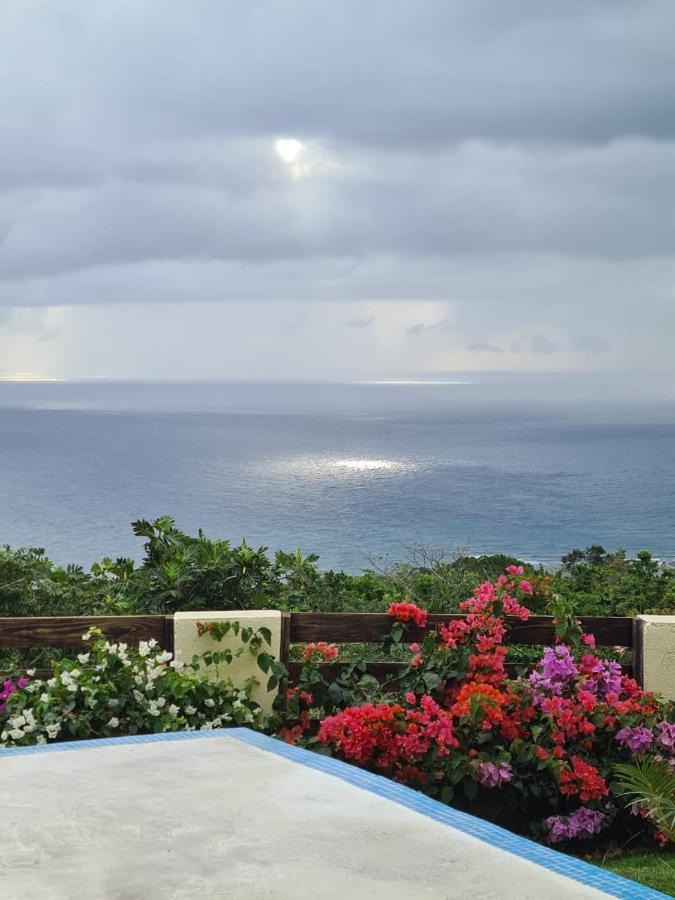 Aparthotel Breezy Castle Jamaica