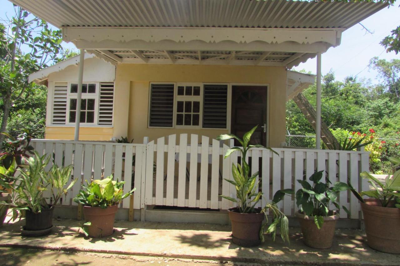 Nelsons Retreat * Negril
