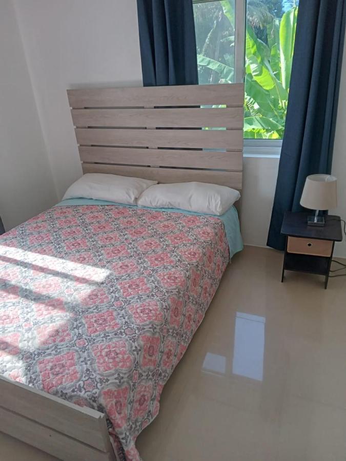 Guest house Comfy Guest *