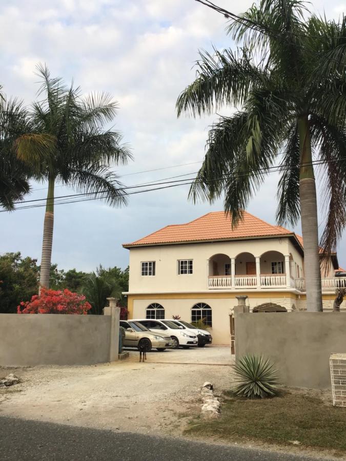 Guest house Blue Dolphin