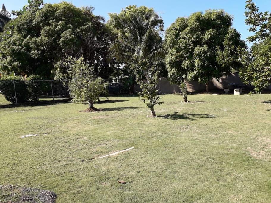 La Rose Apartment Montego Bay