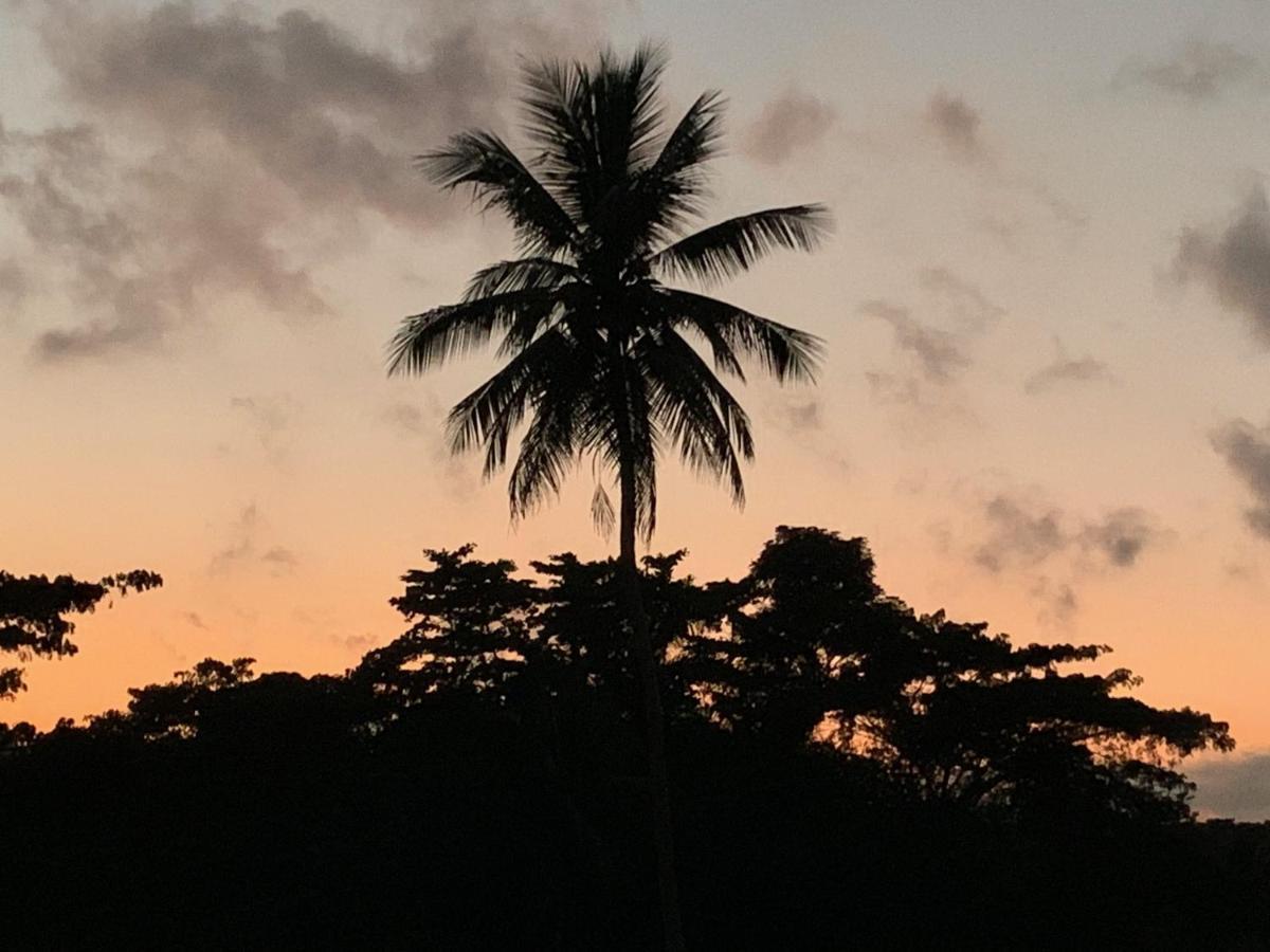 Queendom Farm And Hostel Oracabessa