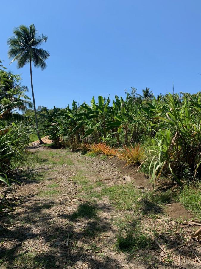 Hostel Queendom Farm And Oracabessa